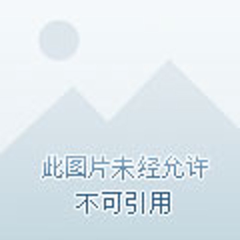 成都批发零售行业的最新动态解析